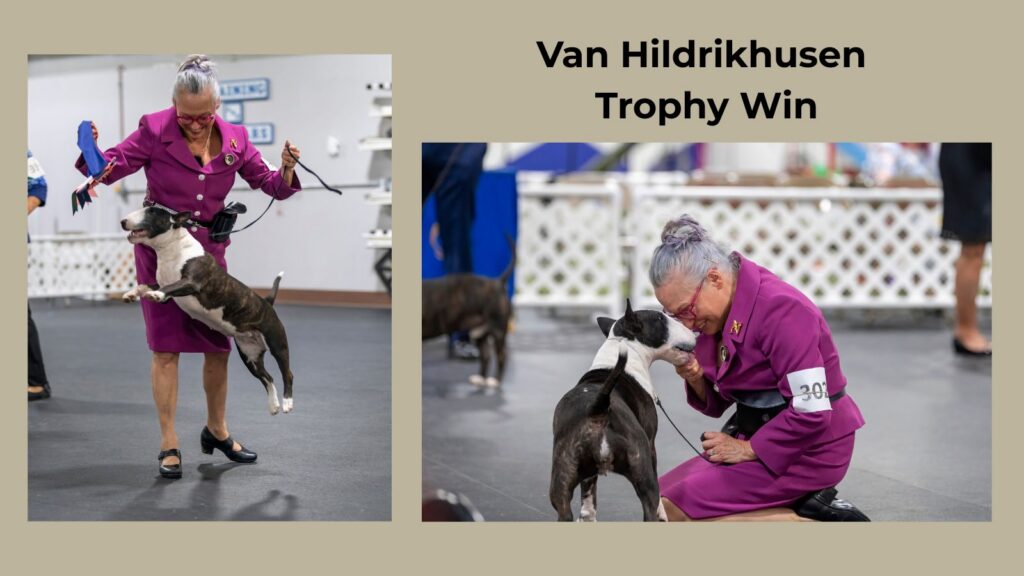 Van Hildrikhusen