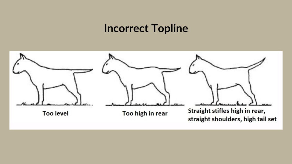Incorrect topline