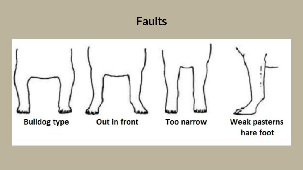 faults