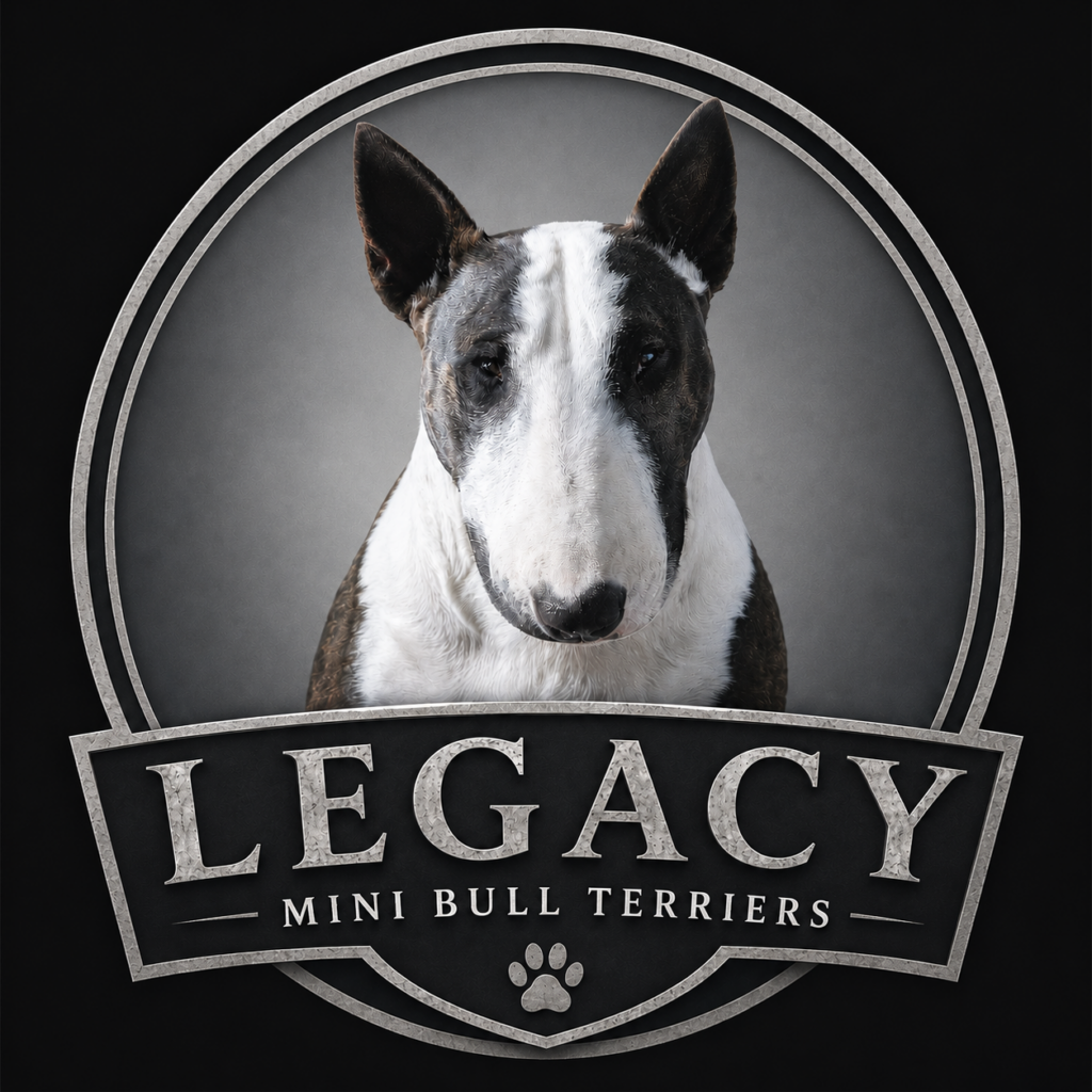 Legacy Mini Bull Terriers logo