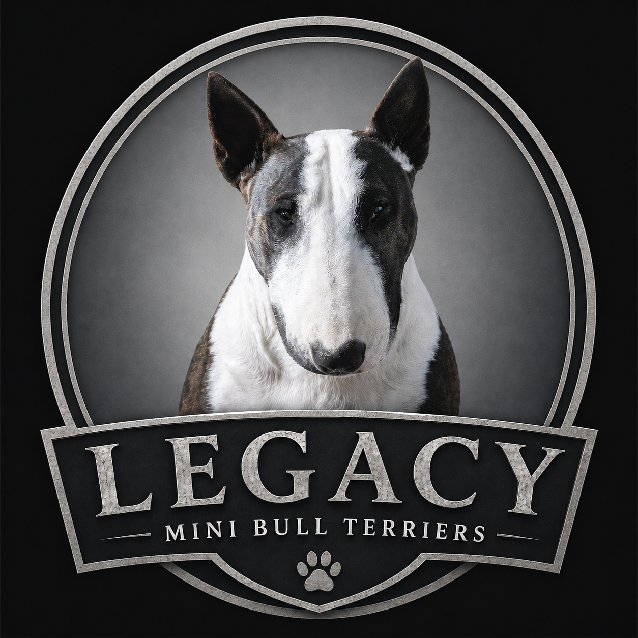 Legacy Mini Bull Terriers logo