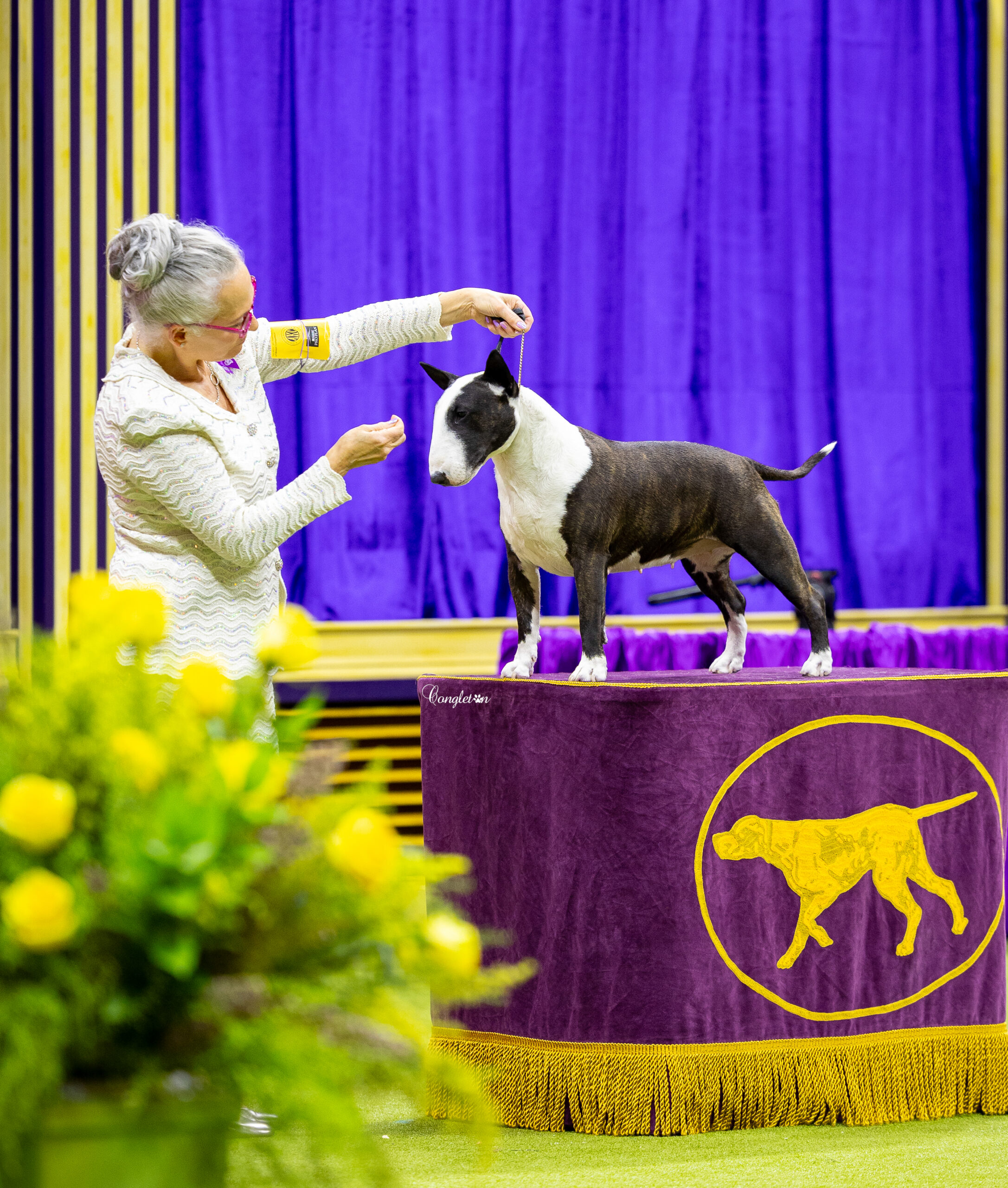 Nora Westminster group at Congleton WKC edit