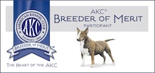 Seal of the AKC Breeder of Merit